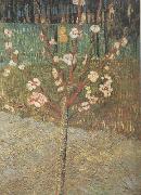 Vincent Van Gogh Almond Tree in Blossom (nn04) painting